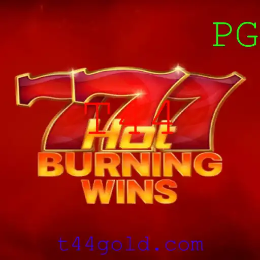 Explorando o Mundo Empolgante do Jogo HotBurningWins